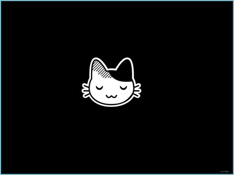 Simple Cat Wallpapers - Top Free Simple Cat Backgrounds - WallpaperAccess