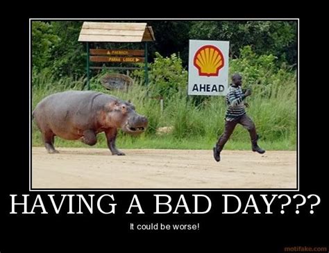 Funny-Pictures-About-Having-A-Bad-Day-4.jpg (640×494) | Having a bad ...