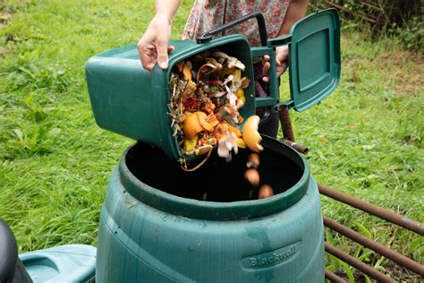 Waste Management In B2B Food Processing: An Essential Guide - HL Agro