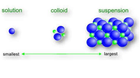 23- Suspensions and colloids (1st year secondary first term) - YouTube