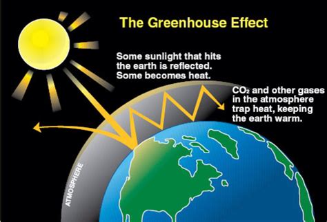 What is the difference between the greenhouse effect and global warming ...