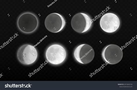 Moon Eclipse Different Phases Astronomy Infographic: vetor stock (livre ...