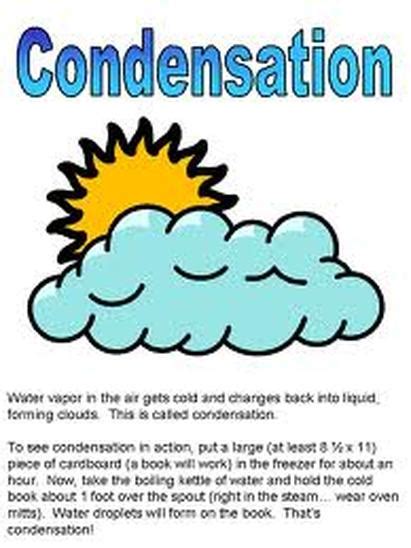 Condensation - Ecology