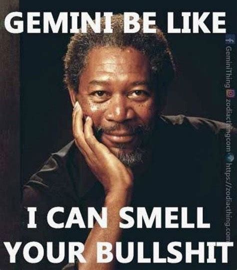 50 Best Gemini Memes That Describe This Zodiac Sign | Gemini zodiac ...