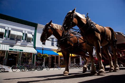 Mackinac Island Carriage Tour (9) - Mackinac Island Tourism Bureau