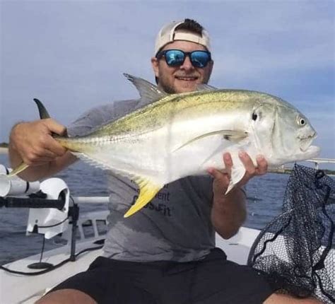 Jack Crevalle vs Yellow Jack...Differences Explained! • SaltwaterMecca