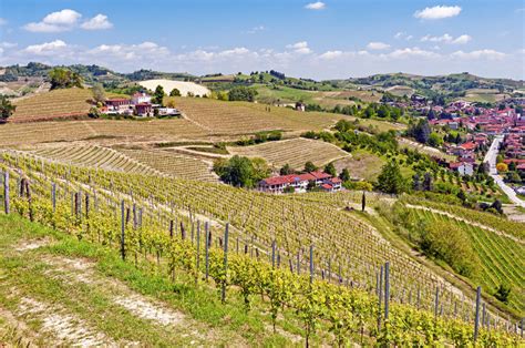 My Favorite Vineyards in Italy that I Recommend to You • Wander Your Way