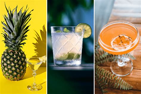 20 Tequila Cocktails for Your Next Happy Hour - House Hunk