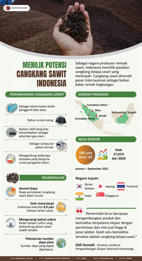 Menilik potensi cangkang sawit Indonesia - DTKNews