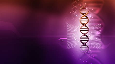 1600x900 resolution | purple cell illustration, DNA, double helix ...