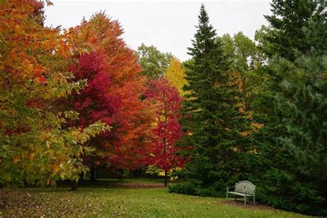 Wisconsin Fall Colors- 16 Top Spots for Epic Fall Foliage