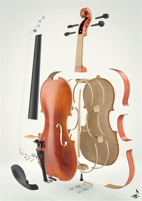 17 Best images about Violin // Parts on Pinterest | English, Names and ...