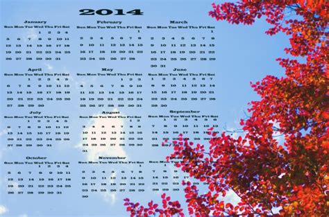 Calendar 2014 - Tree Free Stock Photo - Public Domain Pictures