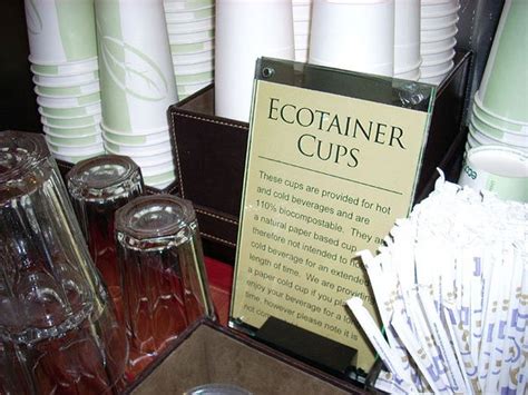 10 Eco-Friendly Alternatives to Styrofoam - DoYou