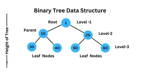 Binary Tree And Its Types In Data Structure | LearnLoner