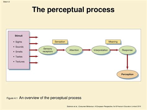 The Perceptual Process The Perceptual Process Perception:, 51% OFF