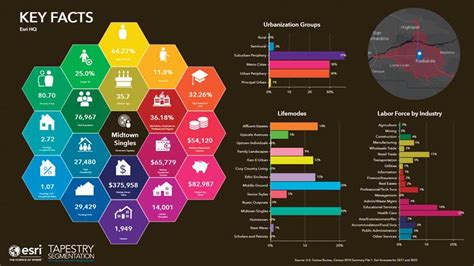 Top 10 Business Analyst Infographic Features