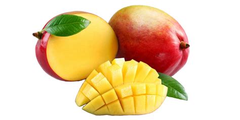 Fruit Crops – Mango – E – Department of Agriculture Sri lanka