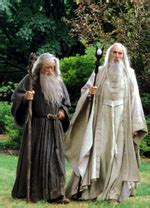 Gandalf And Saruman