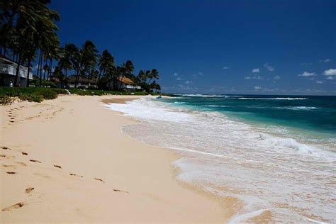 Poipu Beach Park | Poipu beach park, Poipu beach, Beach