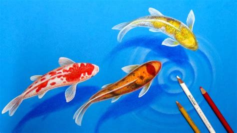 How I draw Koi Fishes in the pond-3D Drawing tutorial - YouTube