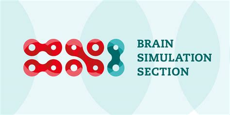 Brain Simulation Section: Homepage