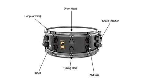 Snare Drum Parts Diagram