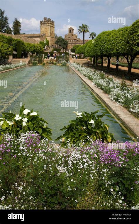 Gardens in Alcazar, Cordoba, Andalucia, Spain, Europe Stock Photo - Alamy