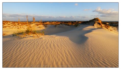 Hammocks Beach State Park - David Blevins Nature Photography