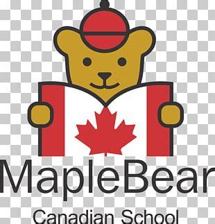 Maple Bear Canadian Preschool PNG Images, Maple Bear Canadian Preschool Clipart Free Download