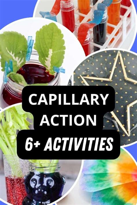 Capillary Action For Kids - Little Bins for Little Hands