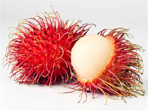 The Health Benefits of Rambutan Fruit | Health Benefits