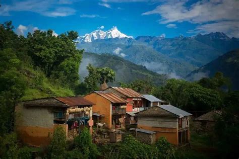 尼泊尔美食之旅，别具风味的舌尖体验_自然_旅行_雪山