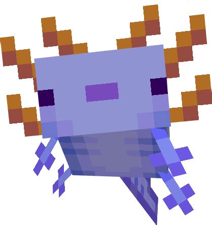 Download addon Axolotls Replica Concept for Minecraft Bedrock Edition 1.16.100 for Android