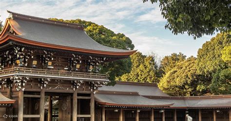 Tokyo Meiji Jingu Shrine Highlights Tour with National Licensed Guide ...