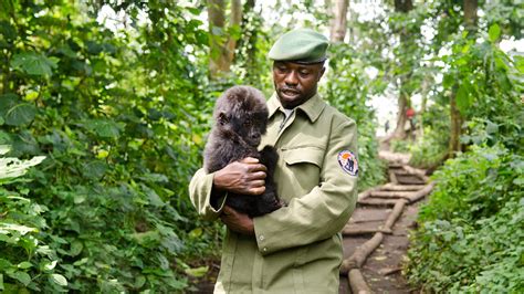 Virunga | Netflix Official Site