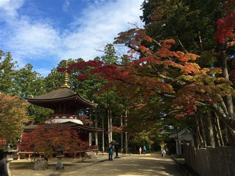 Inside our Hidden Japan Small Group Tour | InsideJapan Blog