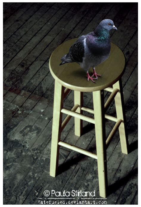 Stool Pigeon by hatefueled on DeviantArt