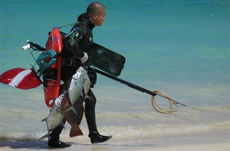 The Ultimate Beginners Guide To Spearfishing Everyone Should Read