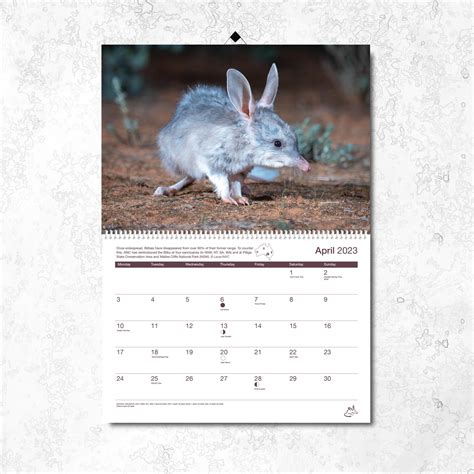 2023 AWC Annual Calendar - AWC - Australian Wildlife Conservancy