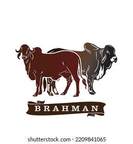 122 Logo Brahman Images, Stock Photos & Vectors | Shutterstock