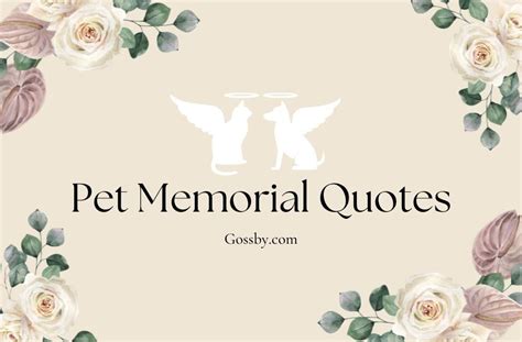 40 Sentimental Pet Memorial Quotes & Sayings that Erase the Pain