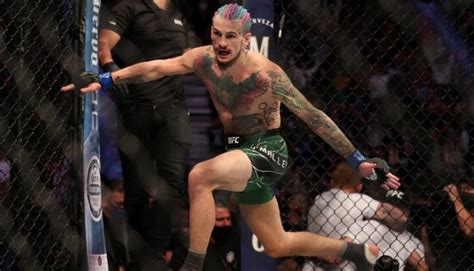 Unranked champ no more: Sean O'Malley enters bantamweight top-15 after UFC 269 | BJPenn.com