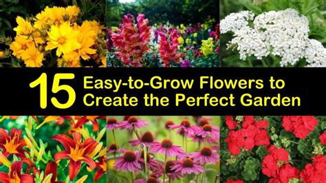 15 Easy-to-Grow Flowers to Create the Perfect Garden