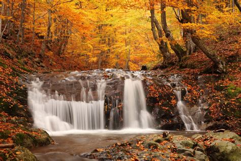HD wallpaper autumn waterfall coloured wood woodland scenery nature picture autumn fall off ...