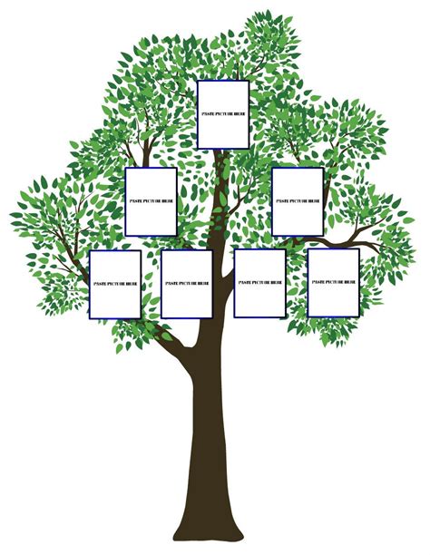 Blank Family Tree For Kids Chart