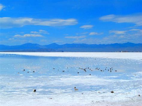 Bonneville Salt Flats After The Rain Photograph by Matthew Peek | Fine ...