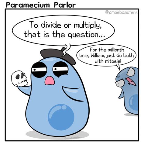 Meiosis Cartoon Strip