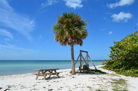 Honeymoon Island State Park, Dunedin Florida | Florida vacation, Beach place, Honeymoon island