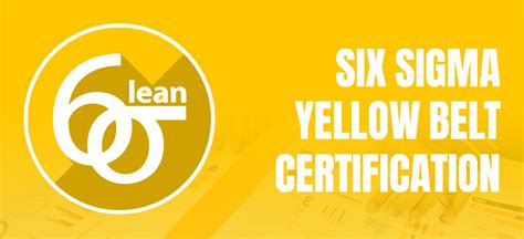 Advance Innovation Group - Lean Six Sigma Yellow Belt - USA